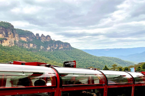 Blue Mountains Adventure: Wild Boar Rock & Cable Car Boutique minibus group tour - fixed meeting point