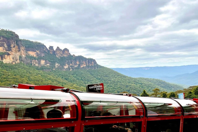 Blue Mountains Adventure: Wild Boar Rock & Cable Car Boutique minibus group tour - fixed meeting point