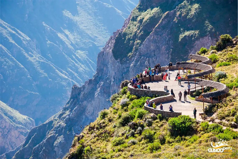 Arequipa: 1.5-Day City Tour and Colca Canyon+Puno (optional)