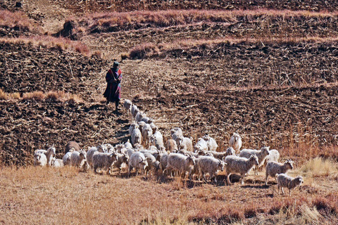 Addo, Lesotho &amp; Drankensburg 7-Day, 6-Night Experience