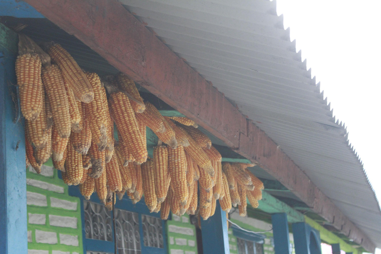 Découvrez la magie de Poon Hill : Un trek de 4 jours au départ de Pokhara