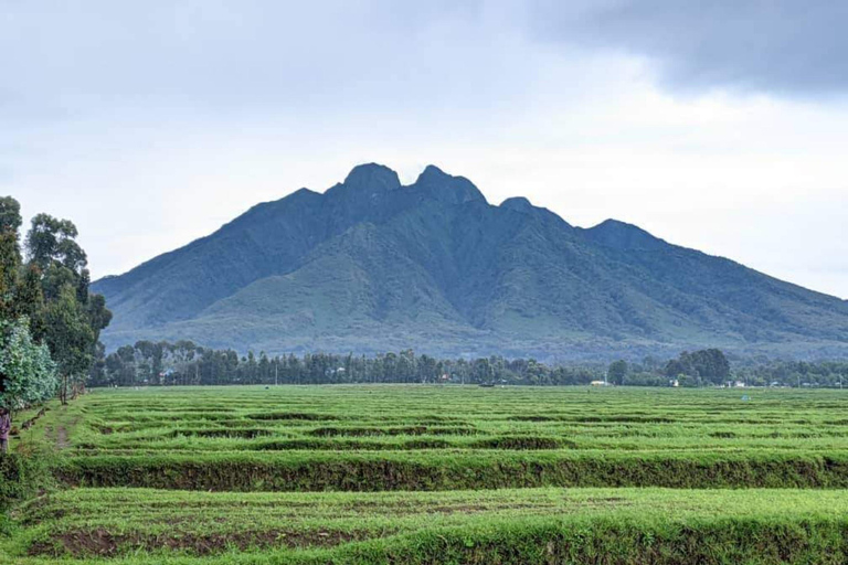 Excursión al Monte Bisoke en el Parque Nacional de los Volcanes