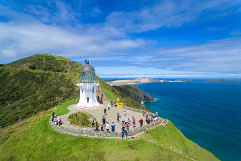 Cape Reinga: Māori Culture Experience with Ngāti Kurī Tribe