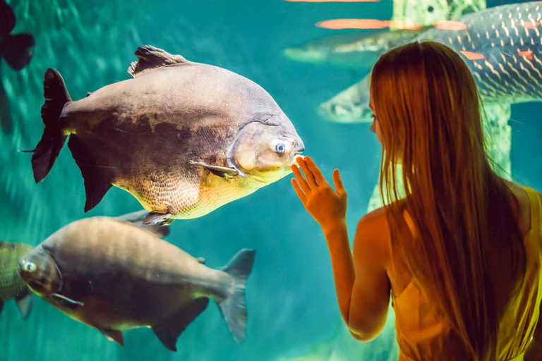 San Francisco: Alcatraz, Muir Woods &amp; Sausalito 2-daagse tour