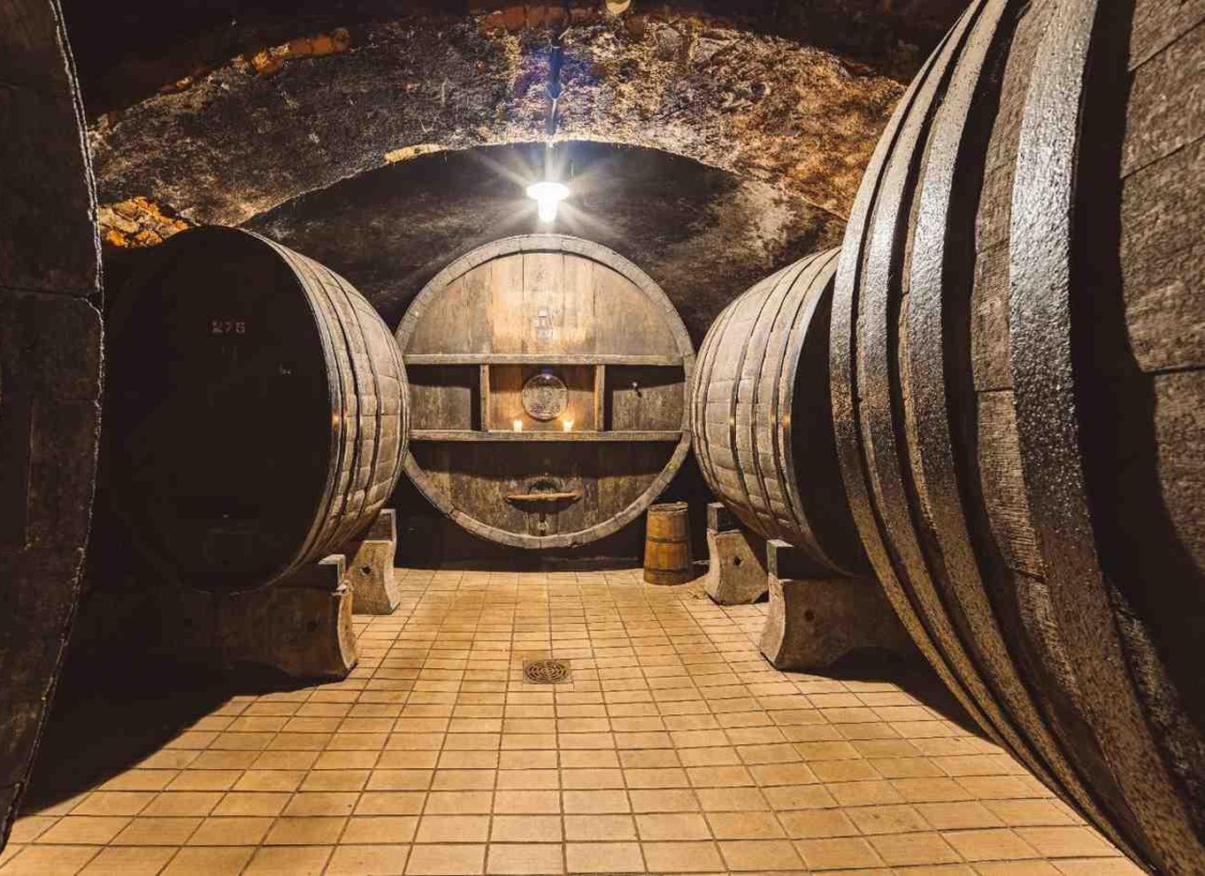 Maribor: Vinag Wine Cellar Tour med vinsmagning og snacks