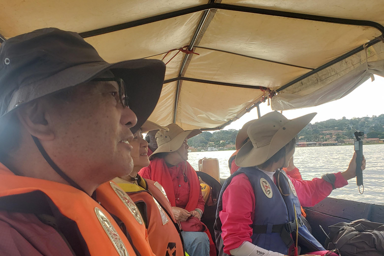 Mabamba swamp bird tours and shoebill trekking