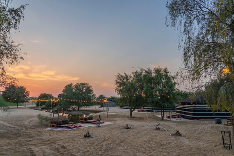 Dubai: Safari serale nel deserto con giro in cammello e osservazione delle stelleTour condiviso con vista sul tramonto