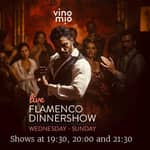Malaga: cena con spettacolo di flamenco al ristorante VinoMio