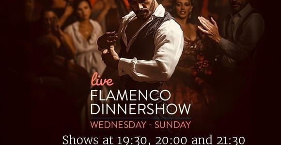 Malaga: Authentic Flamenco Dinner Show at Restaurant VinoMio