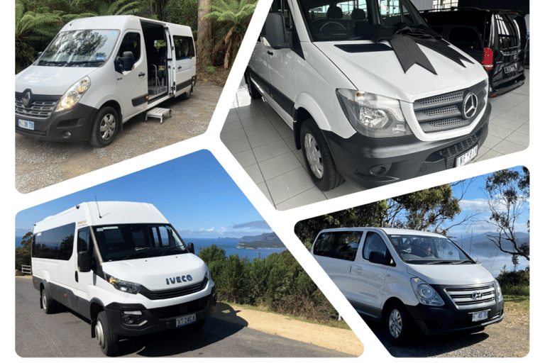 Hobart: Cuevas de Hastings, Paseo Aéreo de Tahune y Excursión al Valle de Huon