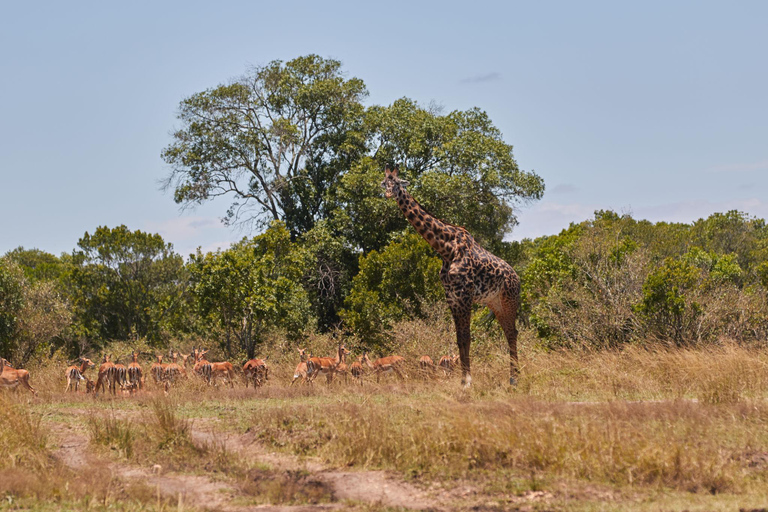 2-Day Tsavo East National Park Private Safari