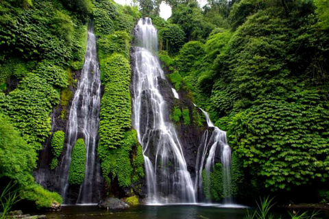 MUNDUK : Excursión de un día de senderismo por la selva