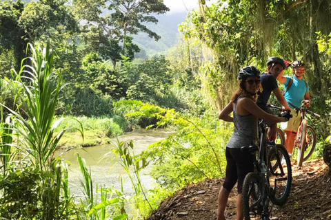 Minca: Aventura en bicicleta de montaña