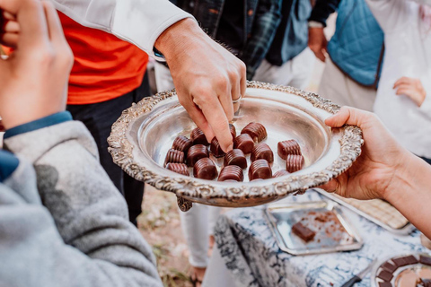 Bariloche: Chocolate Tasting, Exotic & Regional Flavors