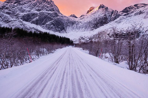 Svolvær: Reine, Hamnøy, Sakrisøy Photo Tour