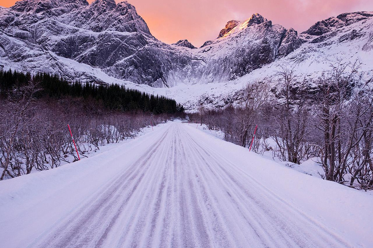 Svolvær: Reine, Hamnøy, Sakrisøy Photo Tour