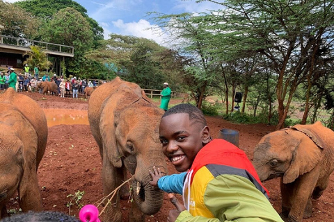 Nairobi: Elefantbarnhemmet, Giraffcentret och Karen Blixen