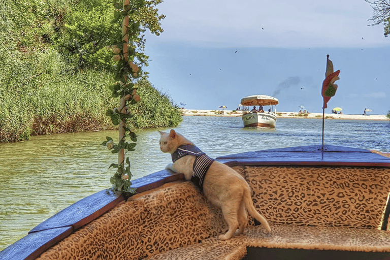 Day Trip: Aladzha, Pobiti Kamani, Varna & Kamchia Boat Tour