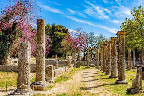 Explore Ancient Olympia with a professional guide