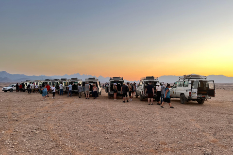 Passeio de camelo com pôr do sol e observação de estrelasServiço de busca no hotel em Hurghada