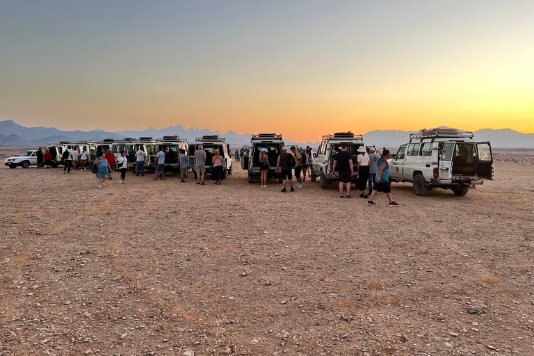 Kamelritt mit Sonnenuntergang und Sternenbeobachtung