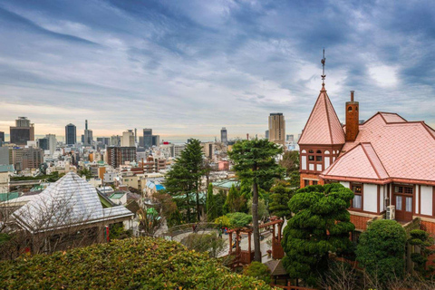 神户/大阪：神户私人导游之旅，可选神户牛肉午餐神户/大阪：神户私人导游游，可选神户牛肉午餐