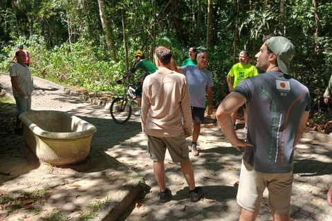 Rio de Janeiro: Spacer po lesie Tijuca