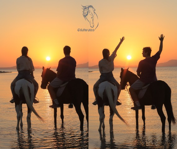 Visit Sharm El Shiekh Beach and Desert Horse Riding Tour in Sharm El Sheikh
