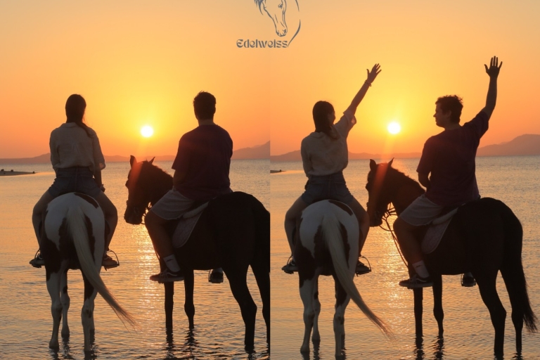 Sharm El shiekh Beach & Desert Horse Riding Tour 2-Hour Beach & Desert Horse Riding Tour