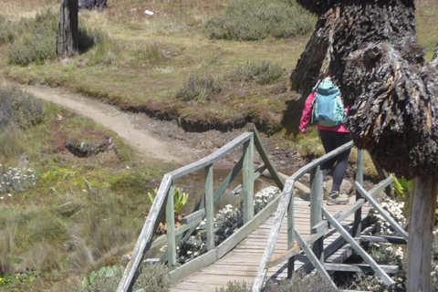 Da Nairobi: Esperienza di trekking di 4 giorni sul Monte KenyaDa Nairobi: 4 giorni di trekking sul Monte Kenya