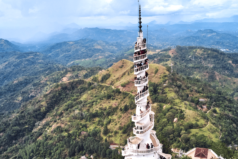 From Colombo:Elephant Orphanage,Ambuluwawa & Tea Museum Tour