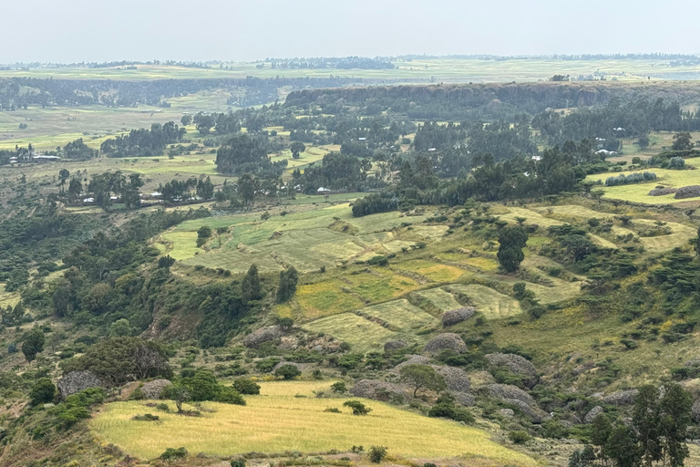 Addis Ababa: Debre Libanos, Gelada Baboons, & Gorge Tour