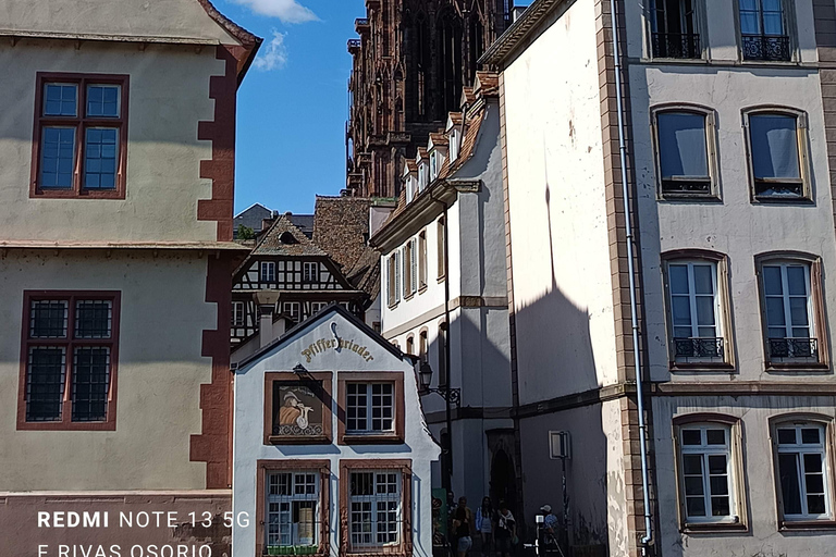 Discover the Wines of Alsace and short introduction to Strasbourg Discover German shepherd wines and a short introduction to Strasbourg