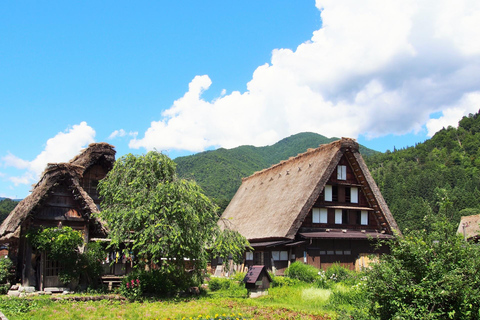 Nagoya: Takayama &amp; Shirakawa-go Day Trip w/ Hida Pork LunchNagoya: escursione di un giorno a Takayama e Shirakawa-go con pranzo a base di maiale di Hida