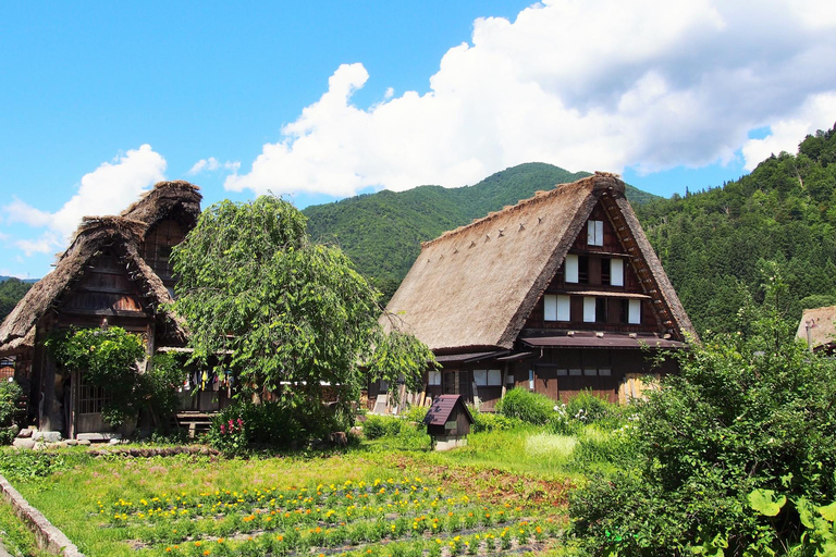 Nagoya: Takayama &amp; Shirakawa-go Day Trip w/ Hida Pork LunchNagoya: escursione di un giorno a Takayama e Shirakawa-go con pranzo a base di maiale di Hida