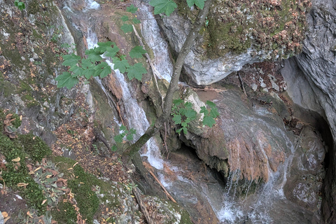 Sofia: Adventure Tour to Plovdiv and Rhodope Mountain