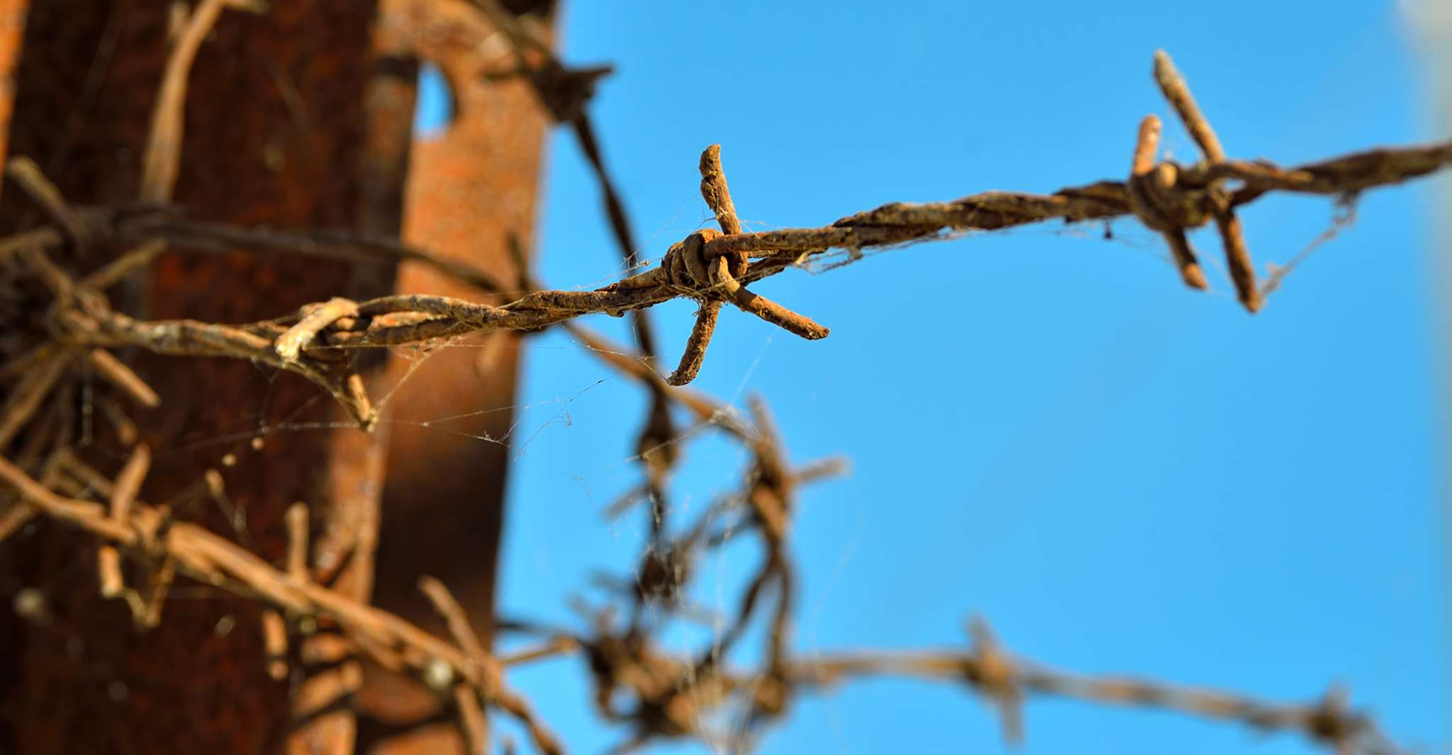 De Varsovie, Auschwitz-Birkenau Tour en voiture - Hizvo