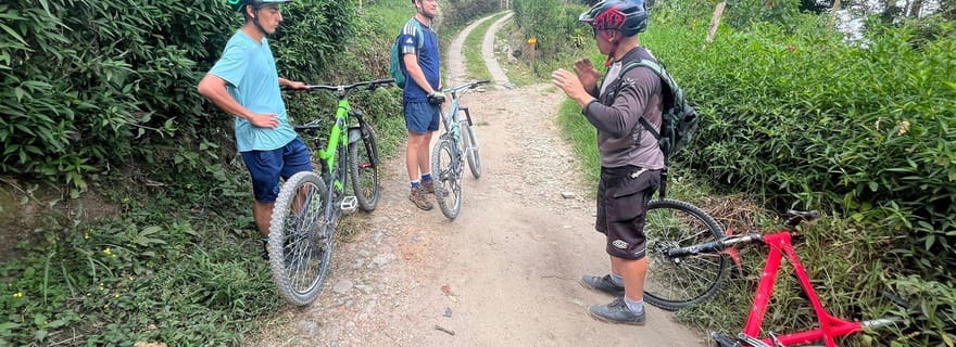Salento : plantation de café, cascade et balade à vélo avec déjeuner