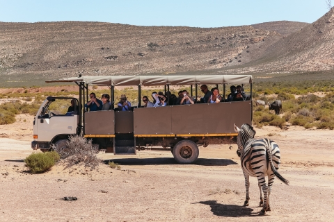 Vanuit Kaapstad: retourtrip naar Aquila met safari