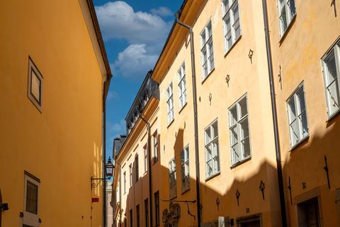 From Copenhagen: Malmö & Lund History & Culture Day Trip Van 8hours