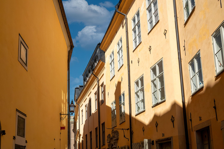 From Copenhagen: Malmö & Lund History & Culture Day Trip Seden 8hours