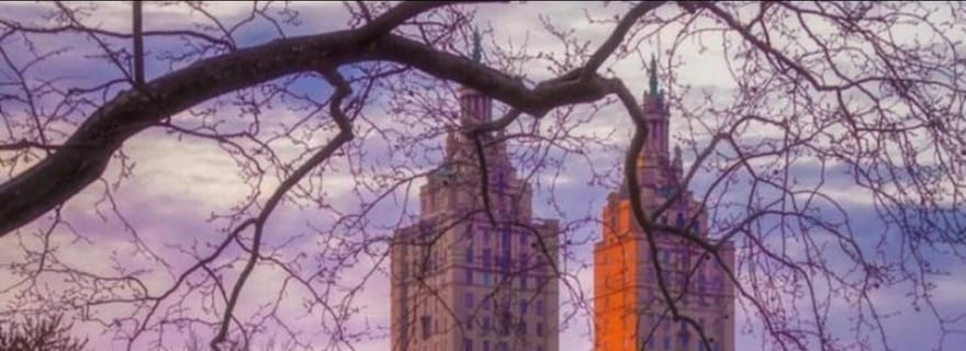 New York : visite guidée de Central Park en calèche