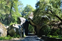 Parcs nationaux de Californie, bundle autoguidé audio - Housity