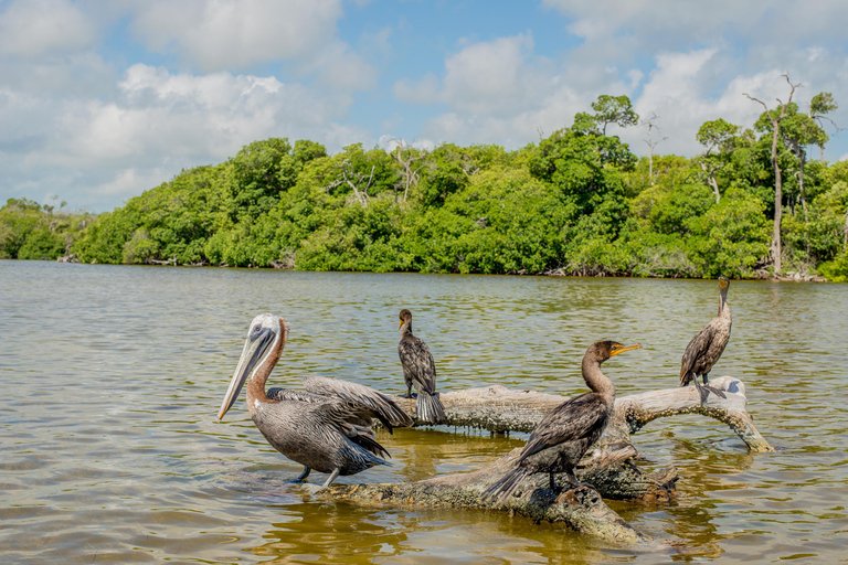 From Valladolid: Rio Lagartos and Ek Balam Day Trip