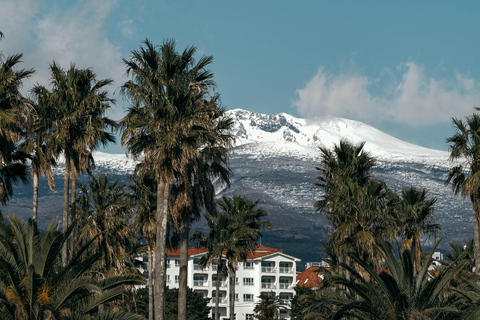 Jeju: HALLASAN National Park Guided Snow Climb (5hr_w/Gear)