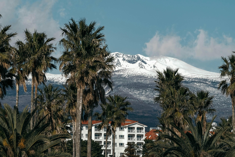 Jeju: HALLASAN National Park Guided Snow Climb (5hr_w/Gear)