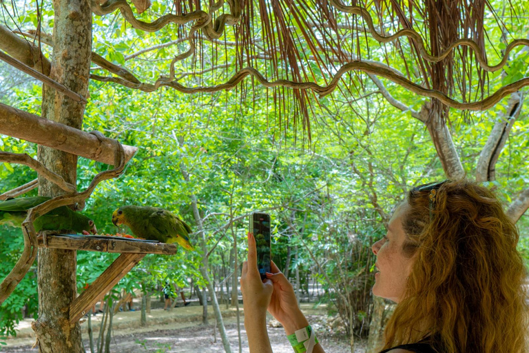 Entdecke den faszinierenden Nationalen Vogelpark auf der Isla Baru Cartagena