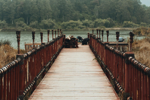 从日惹出发的日出西库尼尔山和迪恩高原之旅从日惹到日出 Sikunir 和 Dieng 高原之旅