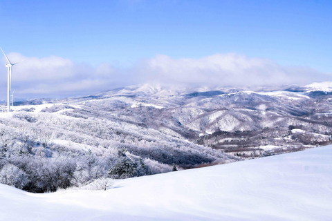 From Seoul: Pyeongchang Trout Festival & Ice Fishing A. Round-Trip Shuttle Bus Only