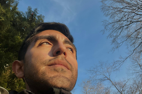 Zurich: Raclette Experience at Uetliberg, Zurich's Viewpoint